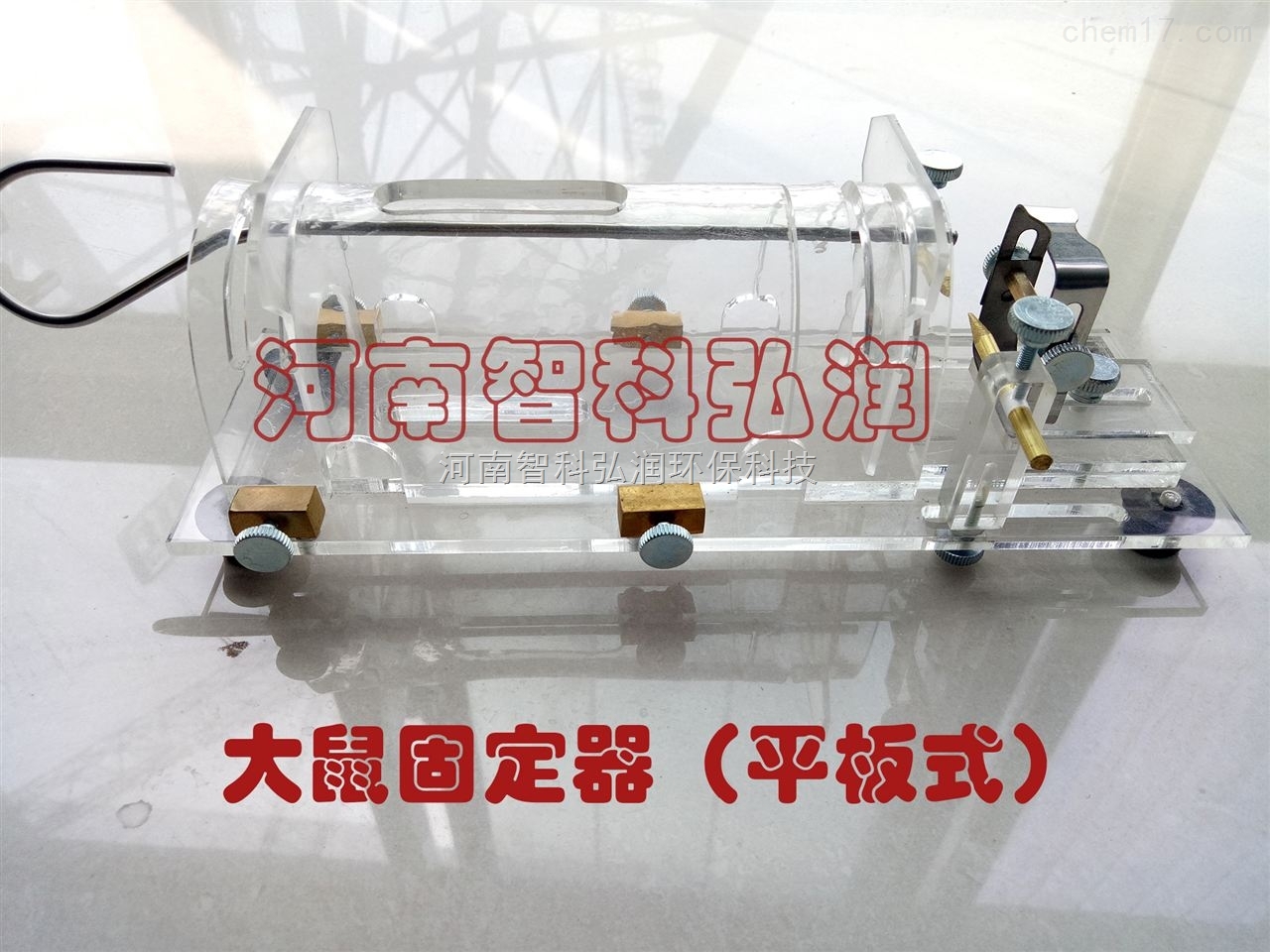 大鼠固定器 大鼠 实验室尾部静脉注射固定器