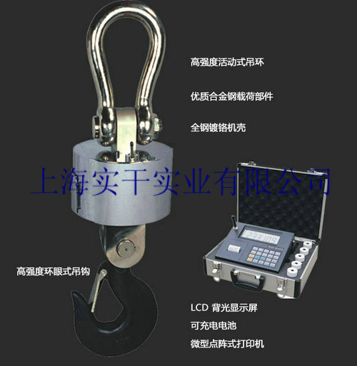 30T無線電子吊秤圖片