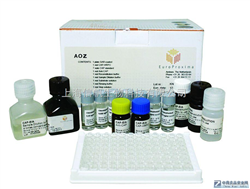 人甘露聚糖結(jié)合凝集素相關(guān)絲氨酸蛋白酶（MASP）ELISA Kit