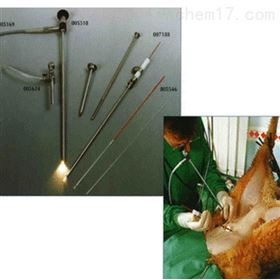 兽用B超内窥镜