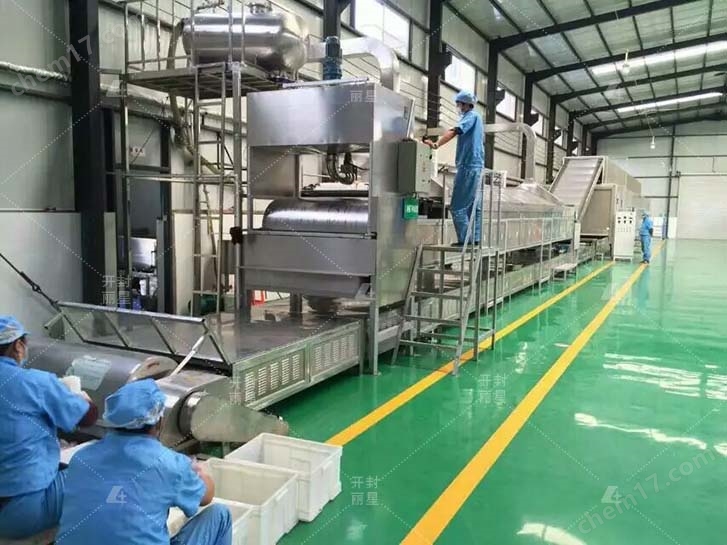 粉絲粉條全自動生產線 麗星靠譜廠家供應