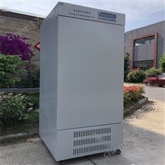 GY-250YP藥品穩(wěn)定性試驗箱 250升